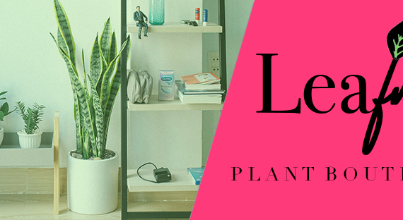 Leaf Me, a houseplant brand
